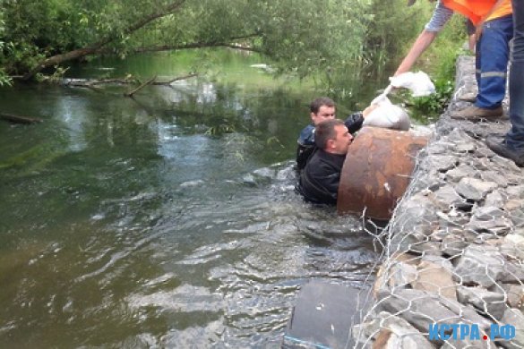 Источники загрязнения реки Истры в деревне Зеленково затампонировали